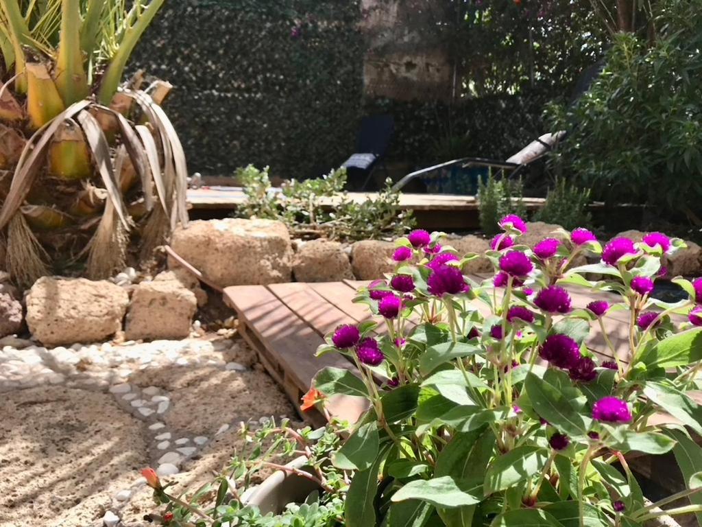 Casa Vivaqi Tenerife Granadilla De Abona Exterior foto